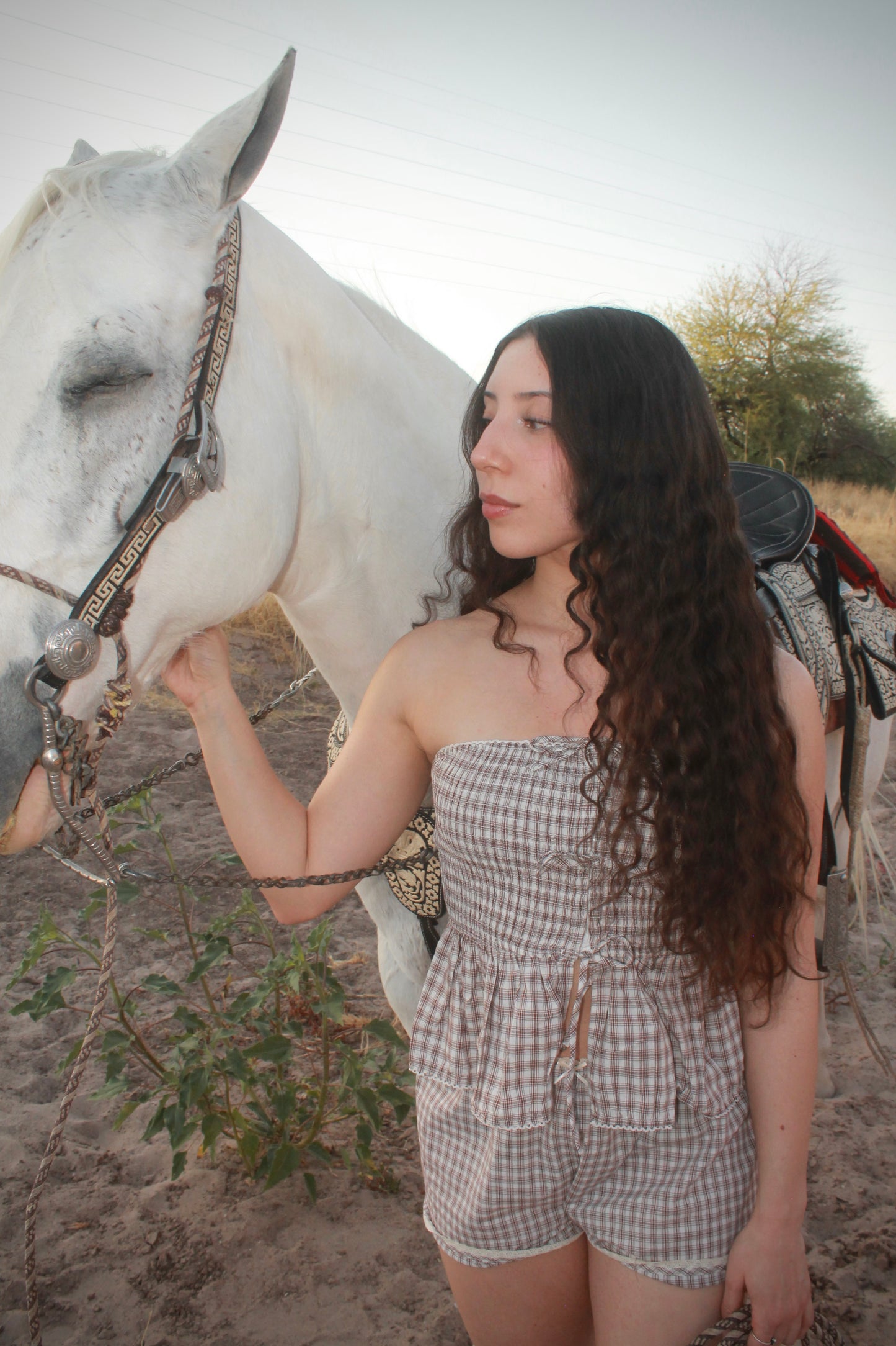 Dusty Belle Gingham Top