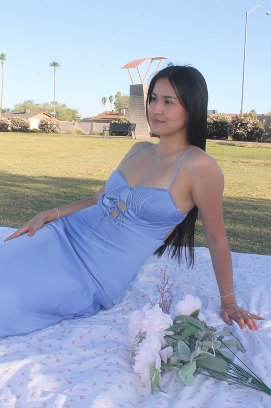 Periwinkle Dream Dress 💫